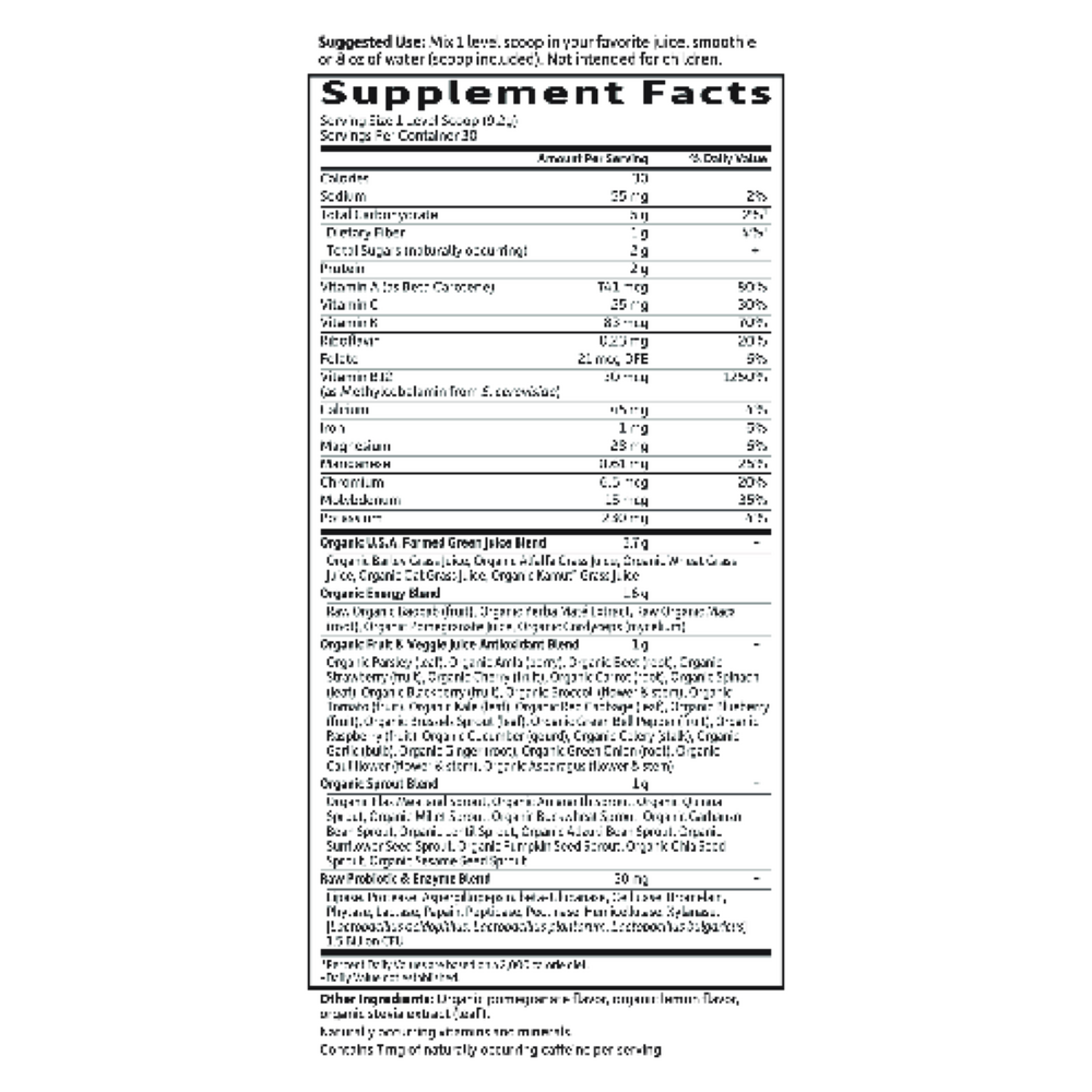Product image for Perfect Food Raw-Energizer Raw Organic Green Super Food.