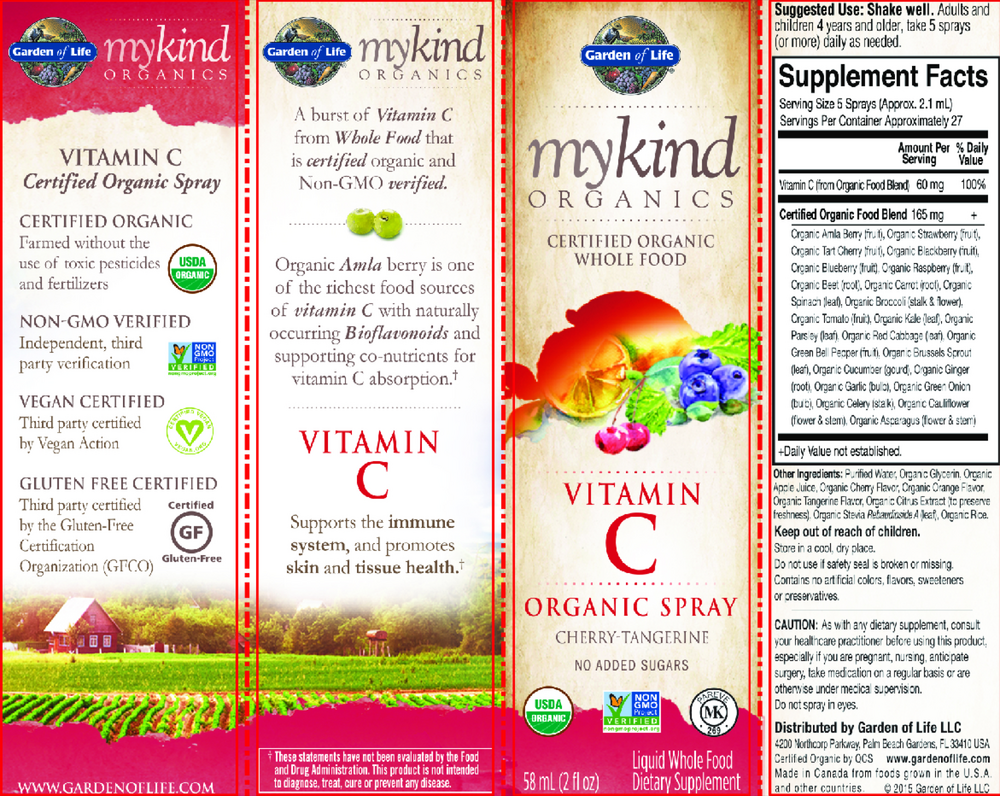 Product image for MyKind Organics Amla Vitamin C - Cherry Tangerine Spray.