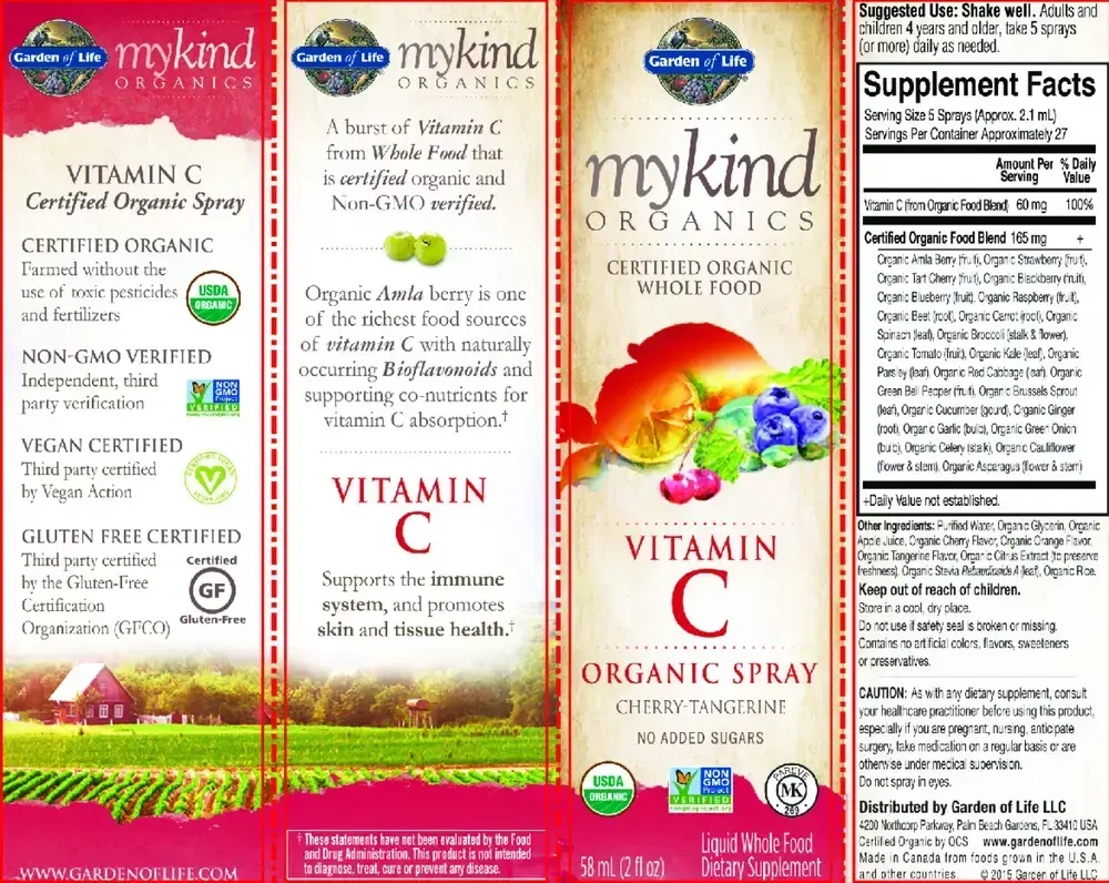Product image for MyKind Organics Amla Vitamin C - Cherry Tangerine Spray.