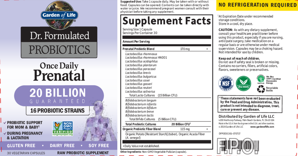 Product image for Dr. Formulated Probiotics Once Daily Prenatal Shelf Stable.
