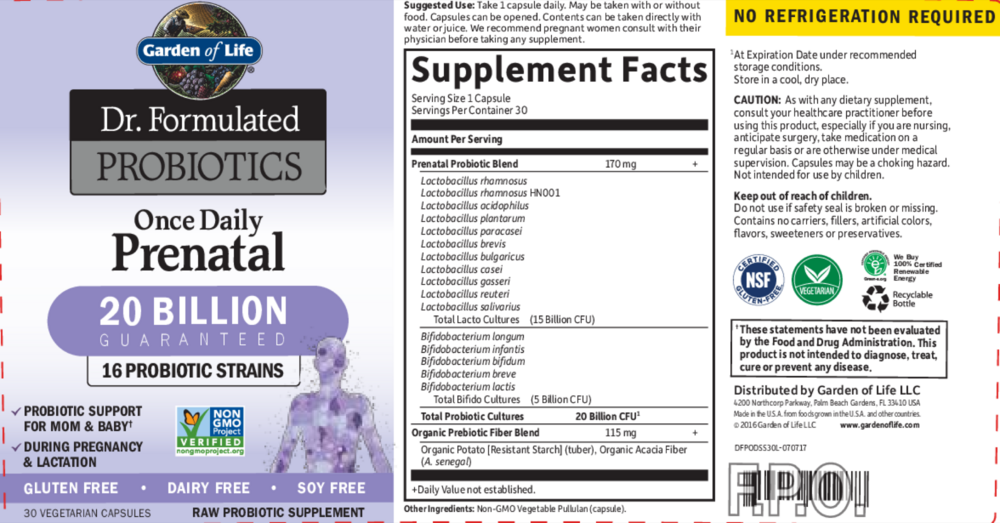 Product image for Dr. Formulated Probiotics Once Daily Prenatal Shelf Stable.
