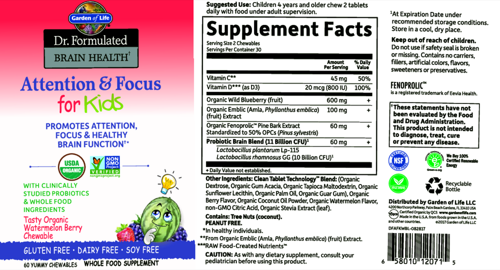 Product image for Dr. Formulated Brain Health Organic Attention&#x2F;Focus Kids.