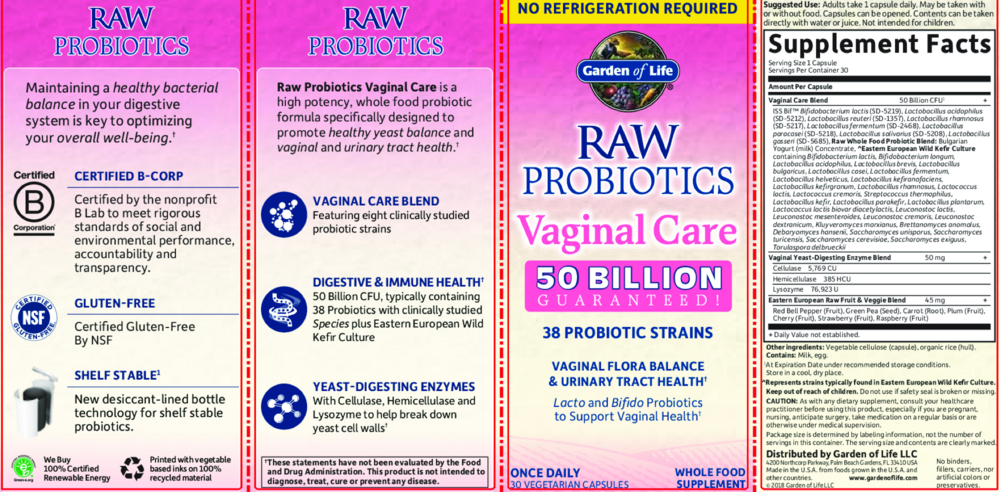 Product image for Raw Probiotics Vaginal Care Shelf-Stable.