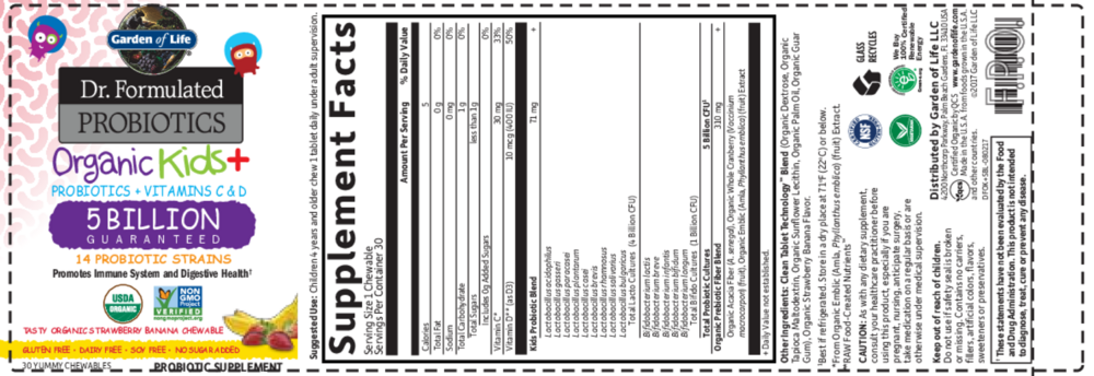 Product image for Organic Kids Probiotics Strawberry Banan.