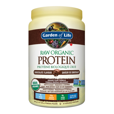 RAW ORGANIC Protein - Chocolate product image