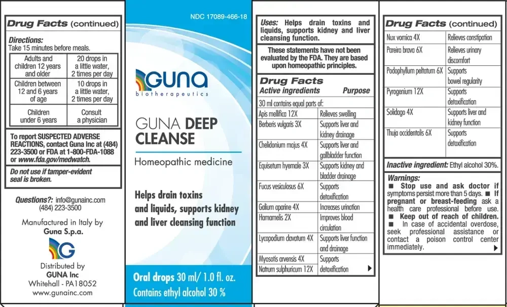 Product image for Guna Deep Cleanse.