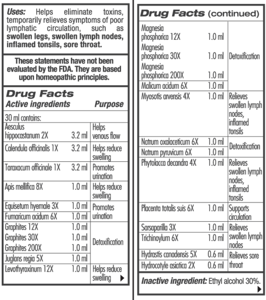 Product image for Guna Lympho Detox.
