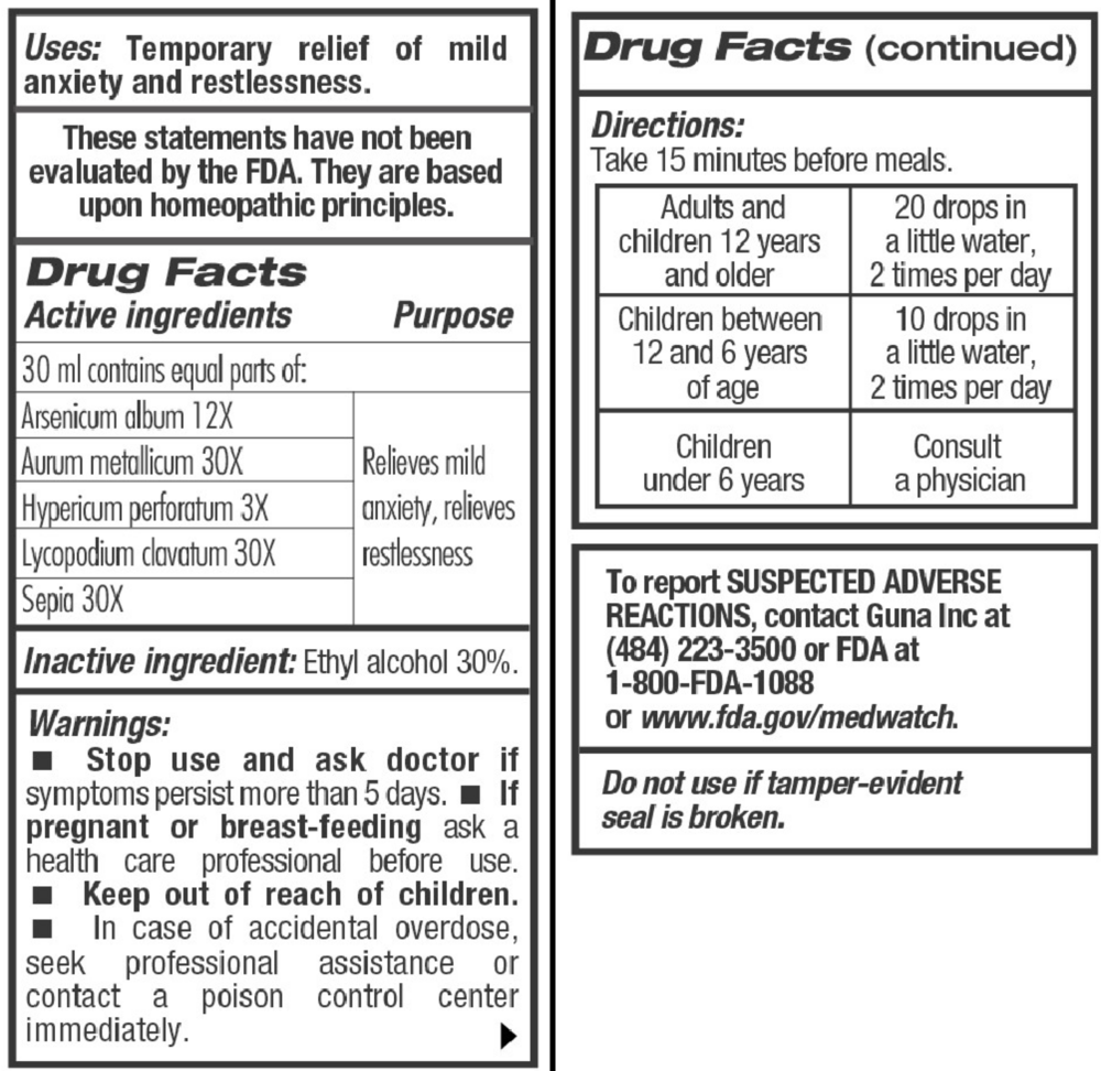 Product image for GUNA Mood Support.
