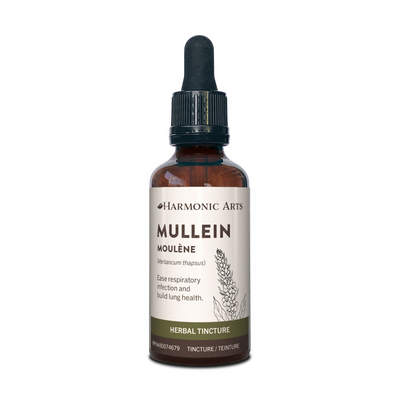 Mullein Leaf Tincture product image