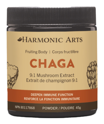 Chaga Concentrated Mushroom Powder
