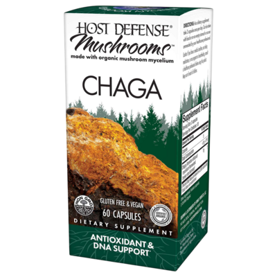 Chaga (Inonotus obliquus)