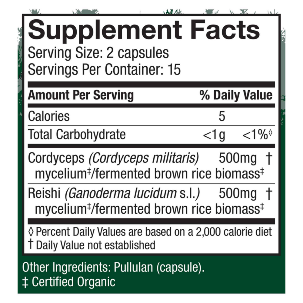 Product image for Cordyceps (Cordyceps Militaris).