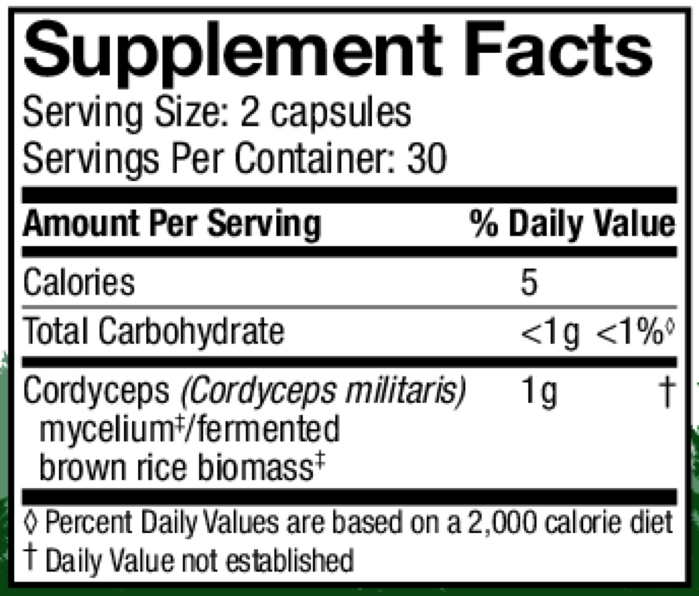 Product image for Cordyceps (Cordyceps Militaris).