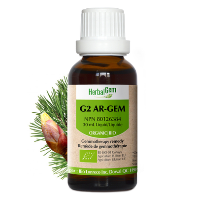 G2 Art-Gem (Organic) product image