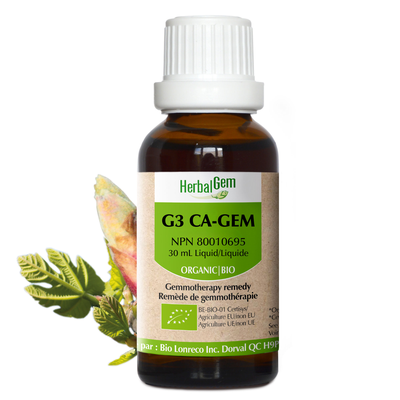 G3 CA-GEM product image