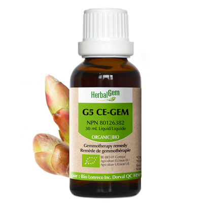 G5 CE-GEM product image