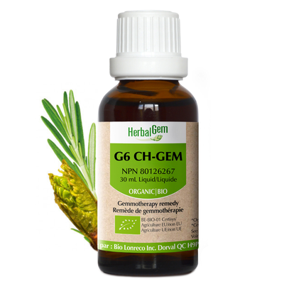 G6 Cho-Gem (Organic) product image
