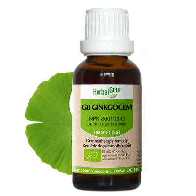 G8 Ginkgogem (Organic) product image