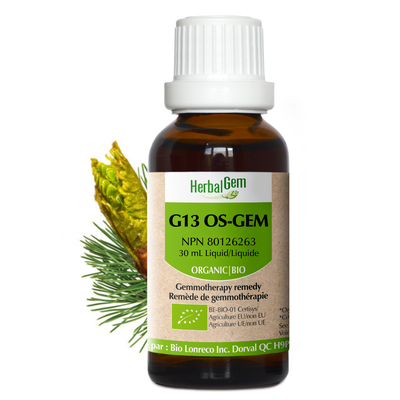 G13 Ost-Gem (Organic) product image