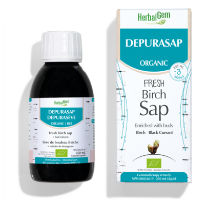 G20 Depurasap Fresh Birch Sap + Bud Extracts (Organic)