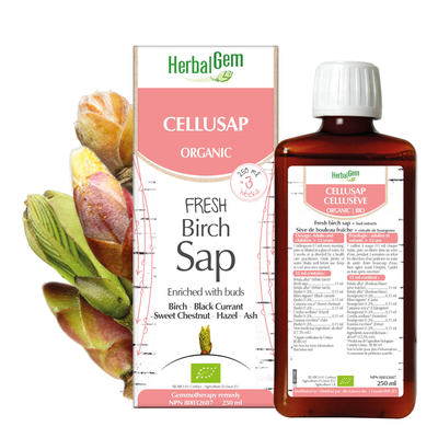 G21 Cellusap Fresh Birch Sap + Bud Extracts (Organic) product image