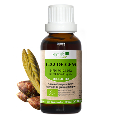 G22 DE-GEM product image