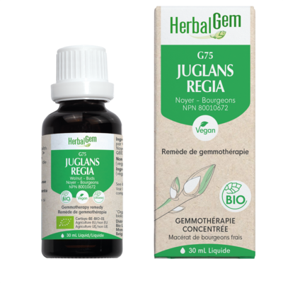 G75 Juglans regia