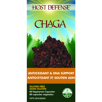 Chaga (Inonotus Obliquus) Capsules product image