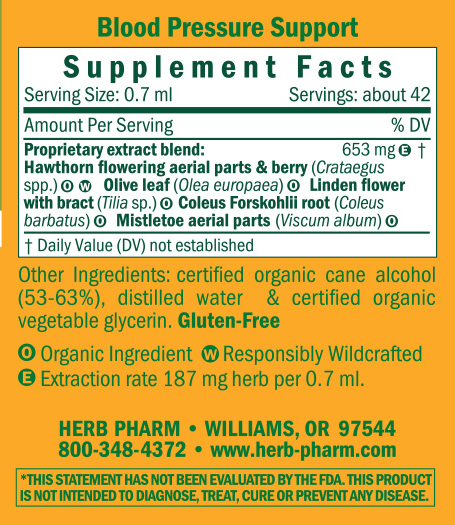 Product image for Blood Pressure Support.
