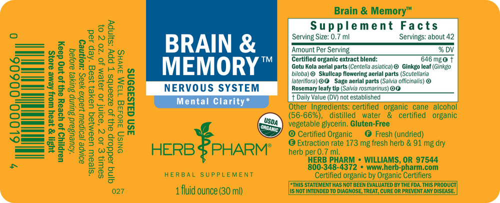 Product image for Brain and Memory.