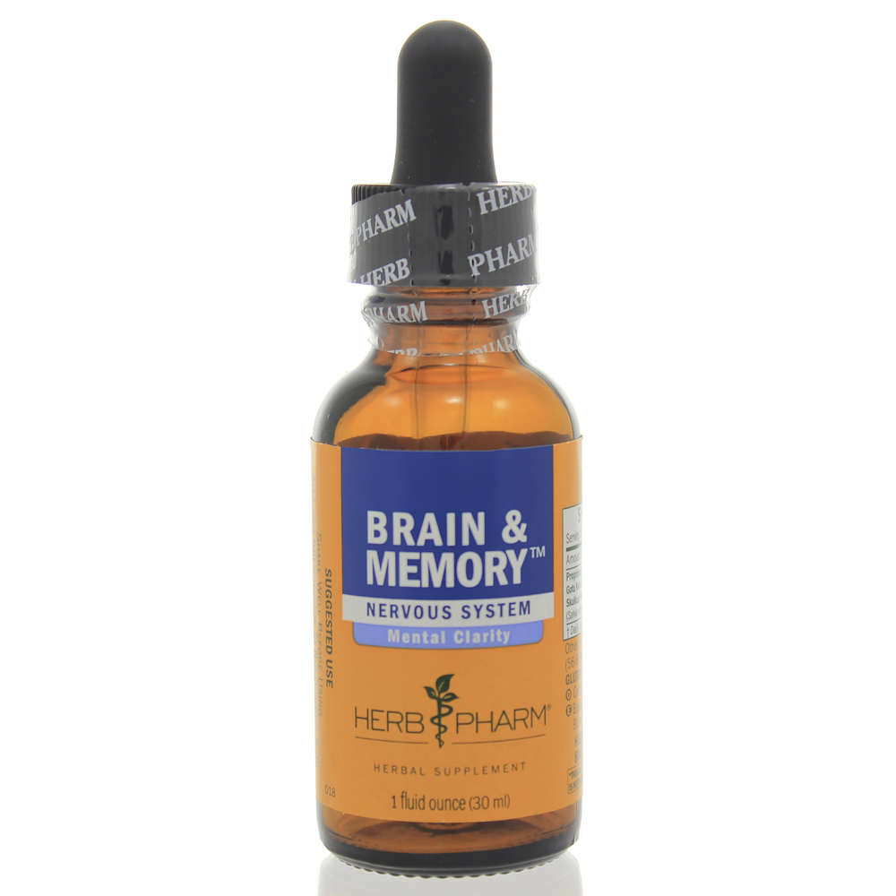 Brain and Memory product image