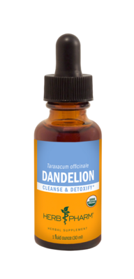 Dandelion 30 Milliliters