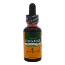 Echinacea