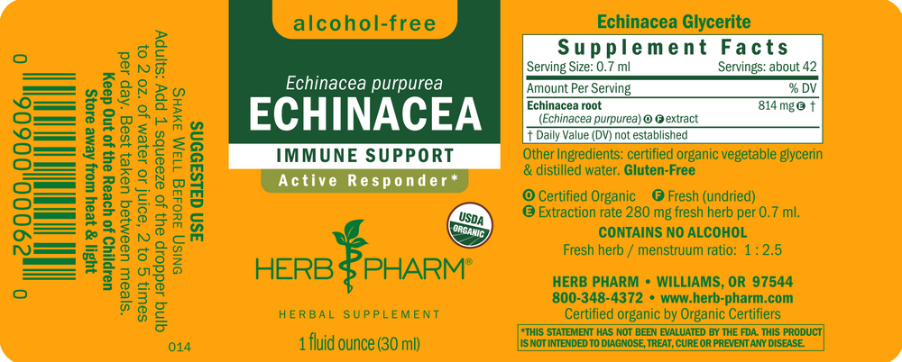Product image for Echinacea Glycerite.