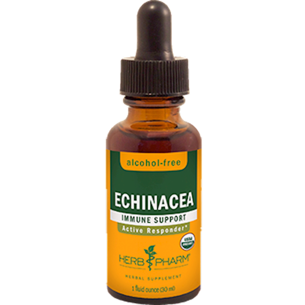 Echinacea Glycerite product image