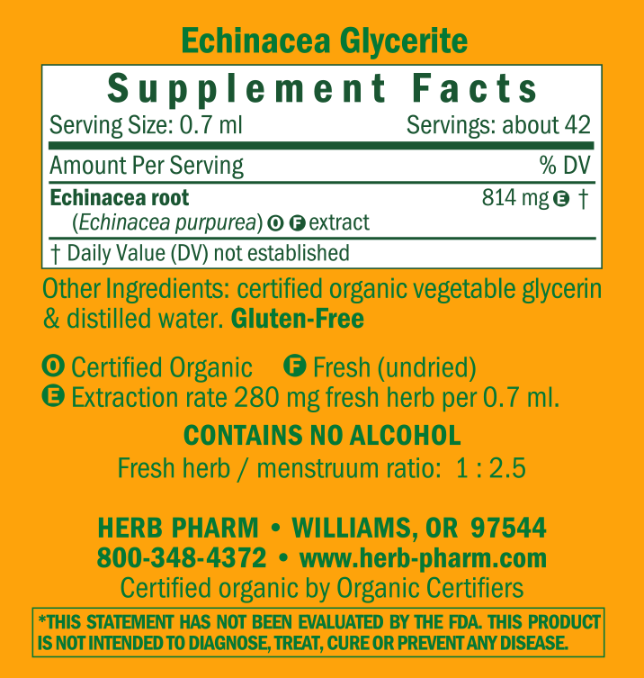Product image for Echinacea Glycerite.