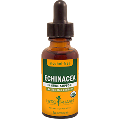 Echinacea Glycerite