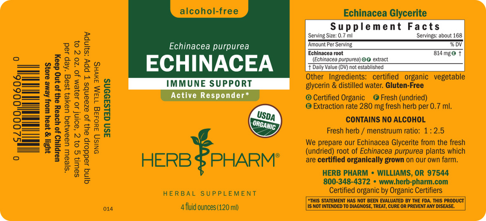 Product image for Echinacea Glycerite.