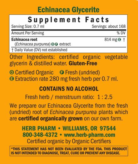 Product image for Echinacea Glycerite.