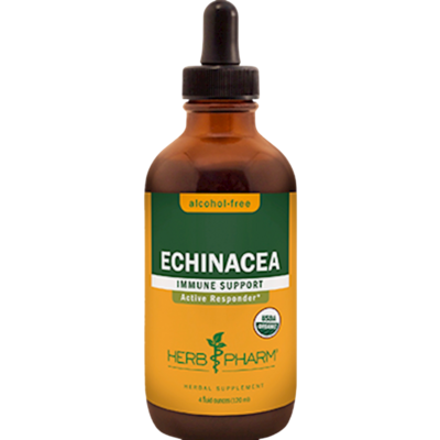 Echinacea Glycerite 120 Milliliters Echinacea Glycerite 120 Milliliters
