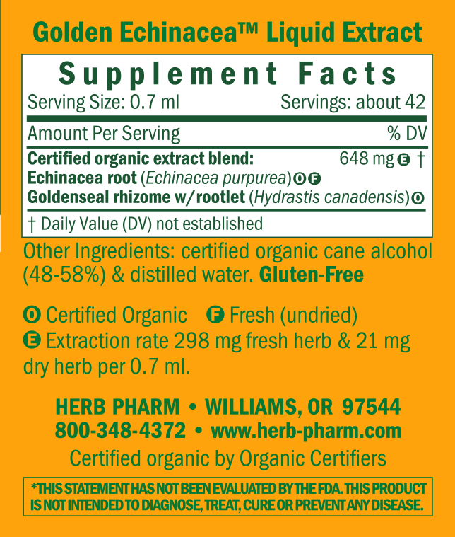 Product image for Golden Echinacea.