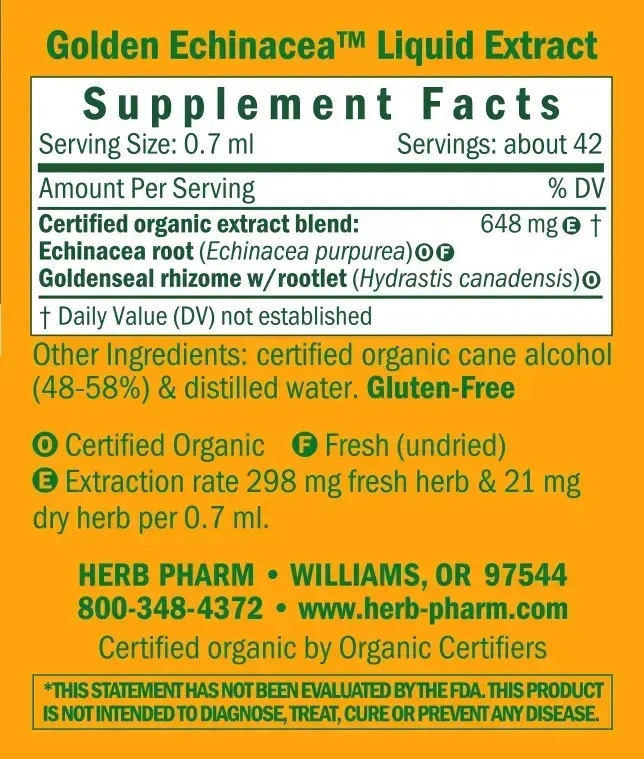 Product image for Golden Echinacea.