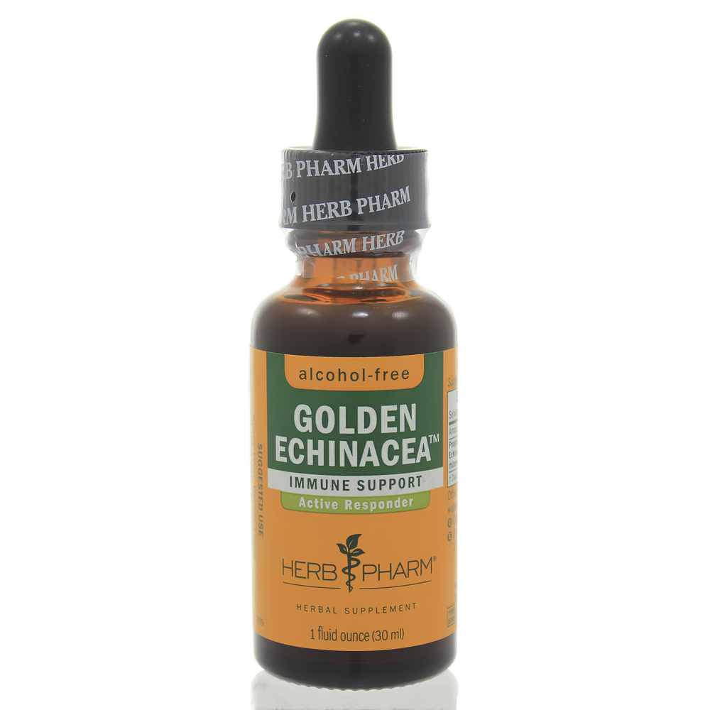 Golden Echinacea Glycerite product image