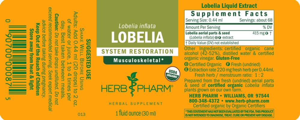Product image for Lobelia.