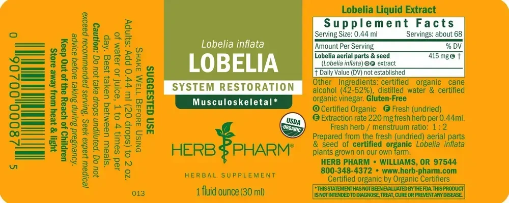 Product image for Lobelia.
