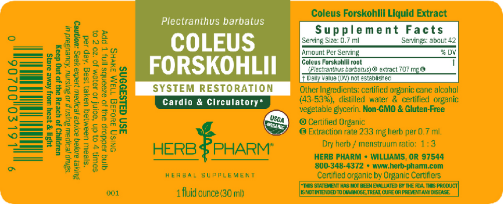 Product image for Coleus Forskohlii.
