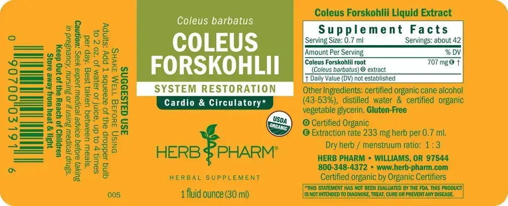 Product image for Coleus Forskohlii.
