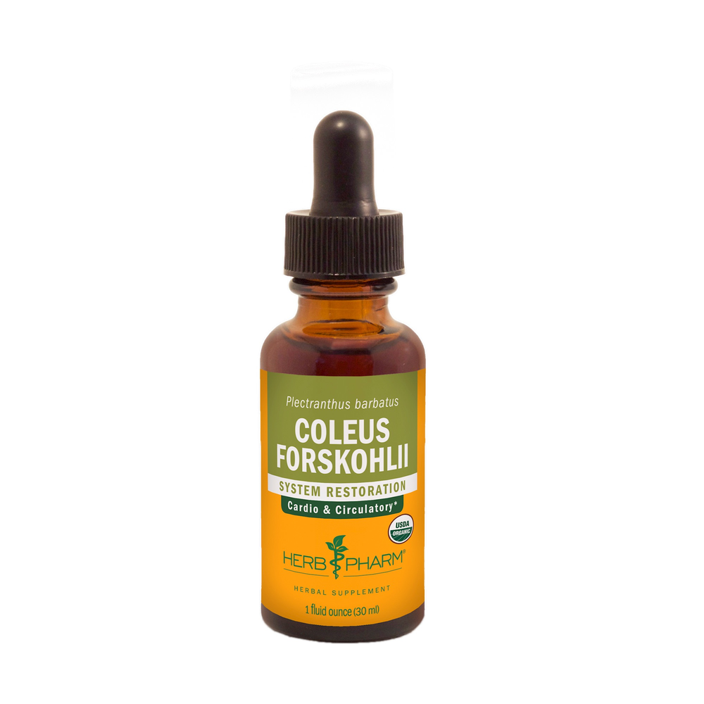 Product image for Coleus Forskohlii.