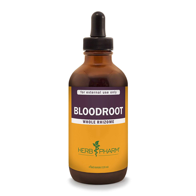 Bloodroot product image