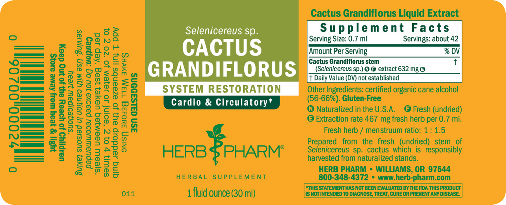 Product image for Cactus Grandiflorus.